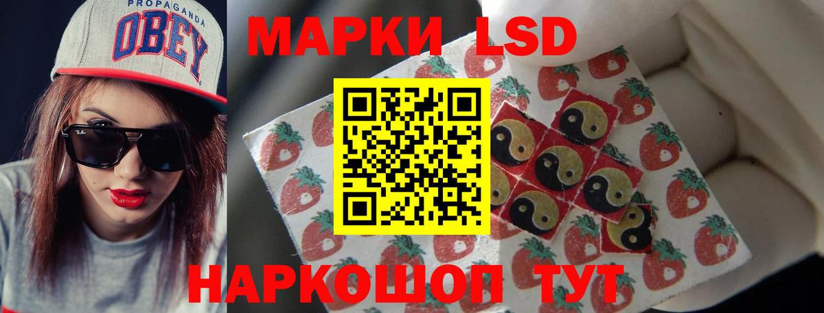 ЛСД экстази  Вход с VPN  Елизово  ЛСД экстази ecstasy  LSD-25 экстази ecstasy 